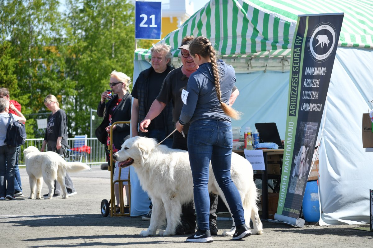 KUVA: LEENA OJAINVÄLI